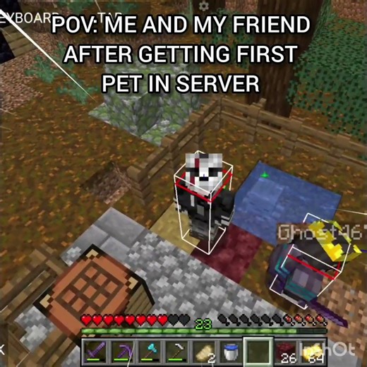 POV: First Pet in Server 😂🐾 | Minecraft Funny Moment