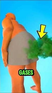 Why Do Farts Smell So Bad? #WhyDoFartsSmell #BodyFacts #DigestiveSystem