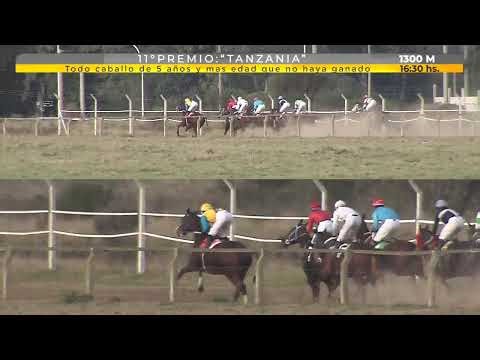Hipódromo de Tandil en vivo - 27 de Julio 2025- Inicio 11:30 hs.