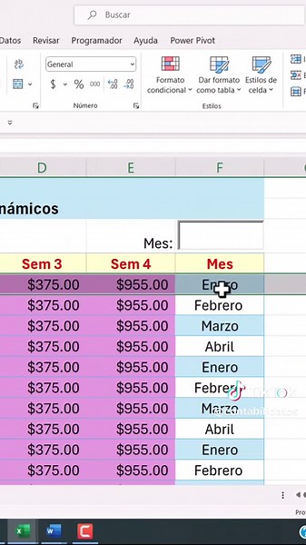Filtros dinámicos en Excel usando Macros en Visual Basic