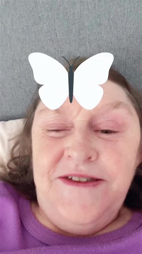 Butterfly Colors: Red, Pink, and Purple