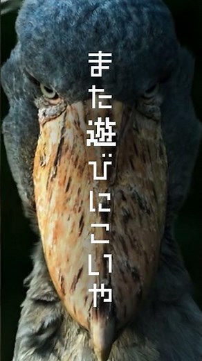 Nasu Animal Kingdom 2026 Spring Commercial #NasuAnimalKingdom