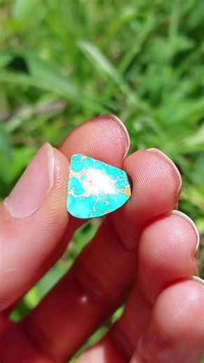 Turquoise Gem