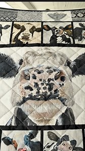 So adorable | Moo-tiful Cows