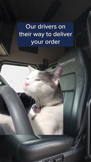 Your Order, Delivered with Care 😌📦