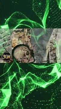 Stable NVIDIA Drivers - Mar. 2026