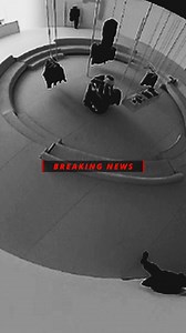 8.1K views · 564 reactions | TEAM WANG design COOKIES - CHOICES...