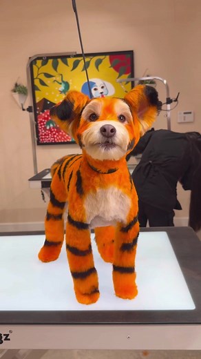 Adorable Dog Grooming Techniques for Your Cute Pet