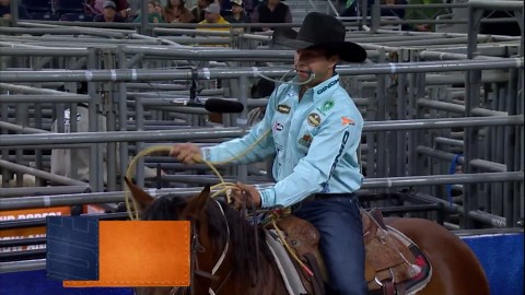 Watch what happens when the calf fights back - it gets messy