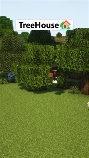 Minecraft Best TreeHouse 🏠 | Download all my builds in Bio❤️ -Follow me for more Tutorial Minecraft❤️ • Save this video and share at friends✨ -If you see this your the BEST 👑 _____________________________________________________ #minecraft #minecraftbuild #minecraftturorial #minecraftinspiration #minecraftredstone #minecraftbuilding #minecraftdaily #minecraftideas #minecraft #minecrafthouse #minecraftonly #minecrafthacks #minecrafter #humoky | Craft Universe