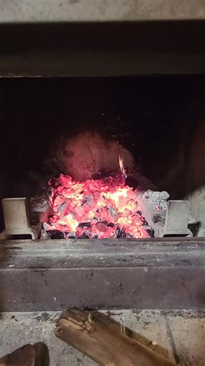 Understanding Torrefied Wood: What You Need to Know