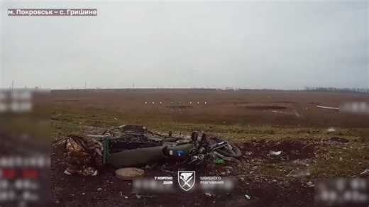 斩杀了约50头俄畜，摧毁了数十辆摩托和2辆敌方装甲车。敌方试图突破第7军防区，在格里希诺镇外围，敌方试图驾驶摩托车突击该镇，敌方在米尔诺格拉德对罗丁斯基发起进攻