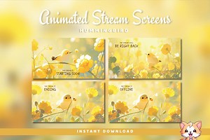 Animated Hummingbird Twitch Screens: Stream Package (digital Download) - Etsy