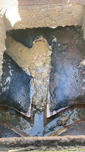 Just Mesmerising 😍 #stinky #mesmerizing #poo #funny #money | Crystal JPV