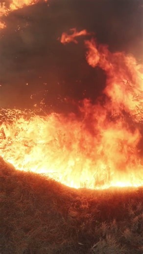 Breaking: Large Wildfire Out of Control | Heartbreaking Footage