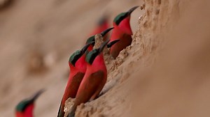 8.2K views · 35 reactions | Destination Hotspot: Zambezi Region It...