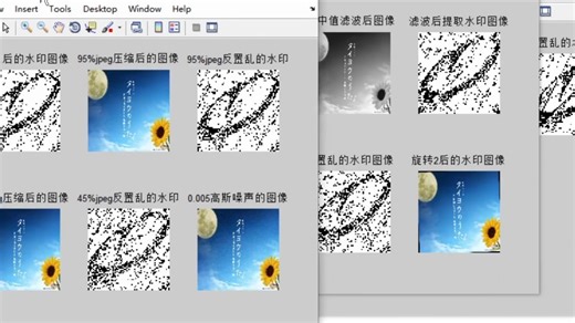 MATLAB数字水印处理系统