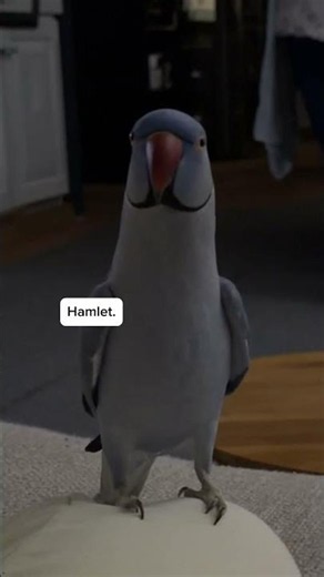 Hamlet.