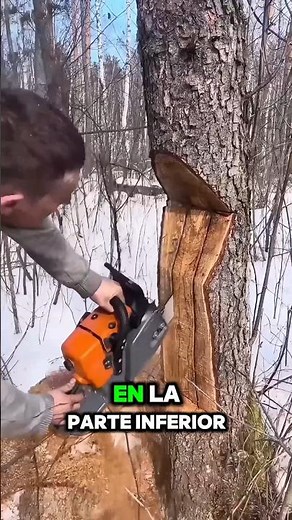 Genius Tree Cutting Technique 🌳😱 Perfect Direction Fall!