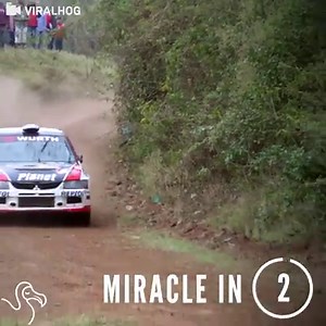 This dog got ridiculously lucky when a race car heading right at him hit a dirt bump — at just the right moment. | The Dodo