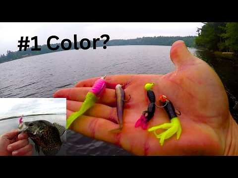 “The Best Jig Colors for Crappie (And When to Use Them)”