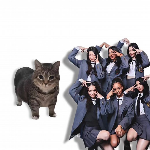 KATSEYE - GNARLY: Oiiai Cat Remix Mashup