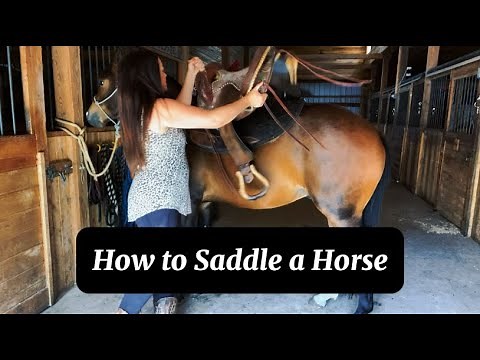 How to Saddle A Horse (Western)