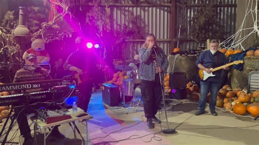 LA Woman  | Bus Pass | Facebook