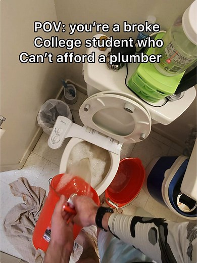 Flushable Kitty Litter Clogged Our Toilet: Here's Why