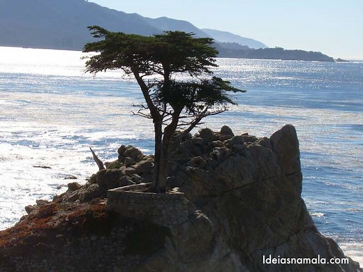 O Que Fazer em Carmel, Califórnia: passeios, parques e vinícolas