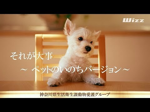 それが大事 ～ ペットのいのちバージョン ～