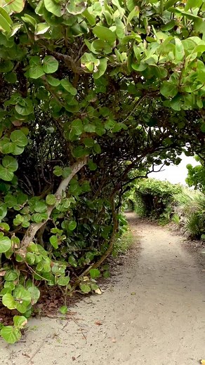 Blowing Rocks Preserve Jupiter Island FL