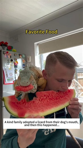rescued lizard#animalfriendship #saveanimals #wildlife #kindnessiscool