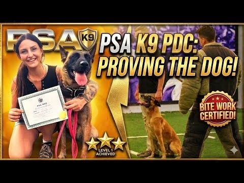 PSA 1 Obedience Training 101 | Working K9 Training ft. Franky (FJB K9)