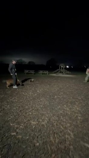 STOP HIM ‼️ LADY BACK IN ACTION STAY TUNED 🎥 💥 @Kk9s @Elevate kk9 We cooking , only time will tell ⏳ #lady #working #fyp #new #content