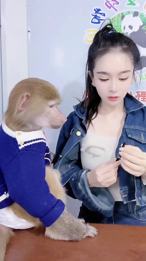 monkey on TikTok