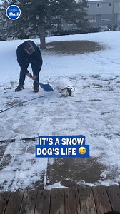 29K views · 103 reactions | She's living her best life ❤️ | Daily Mail Video | Facebook