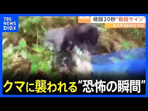 クマに襲われる“恐怖の瞬間”！命の危機に“棒”で応戦「母グマが子を…」発見時に危険な“戦闘のサイン”とは？｜TBS NEWS DIG