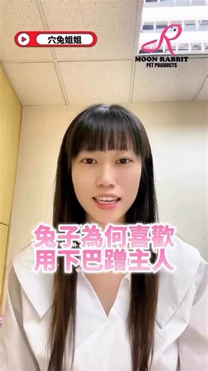 124 reactions · 12 shares | 為何兔兔喜歡用下巴蹭主人？ | Moon Rabbit 穴兔小動物用品專門店 | Facebook