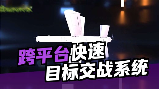 Hero400巡飞弹系统