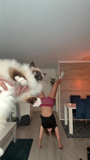 melissa!!! (@melissalbackup)’s videos with Ms. Jackson - Outkast