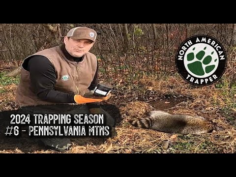 2024 Trapping Season #6 ~ NORTHERN APPALACIA ~ North American Trapper