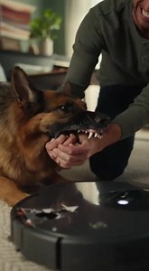 Yesterday My German Shepherd Suddenly Went Feral and Wrecked the $1,600 Robot Vacuum I’d Just Bought… I Was Still Figuring Out How to Punish Him But When My Wife Heard a Faint tick-tock Cut Through the Room, and I Dialed the Bomb Squad Immediately. CHAPTER 1: The Silicon Trophy The receipt in my email read $1,699.99, plus tax. For a vacuum cleaner. It was obscene, honestly. It was the kind of purchase you make not because you need it, but because you need to prove you can have it. It was the "Cy