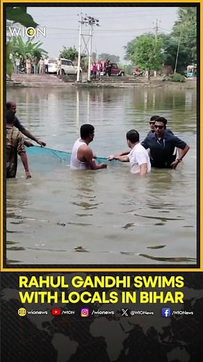 Rahul Gandhi Swims, Clicks Selfies With Locals in Begusarai Pond During Bihar Campaign Trail | WION