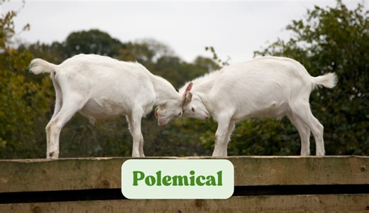 What does the word ‘polemical’ mean? If the debate is getting heated, here’s what to know