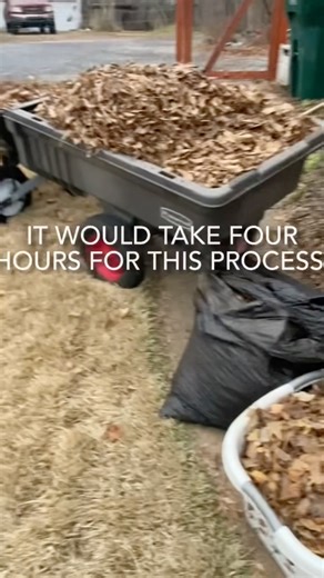 Fruit tree PROTECTION from WINTER !