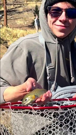 Arizona Apache Trout! #gofishing