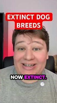 EXTINCT DOGS BREEDS TURNSPIT DOG #history #historical #historyfacts #dog #dogs #dogbreed #pet #pets