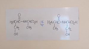 Draw the structures of the two dipeptides that can be formed from serine and alanine. | Numerade