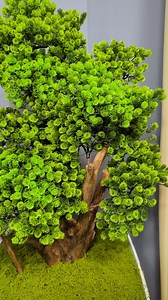 6.3K views · 40 reactions | Capstone on Reels | Facebook